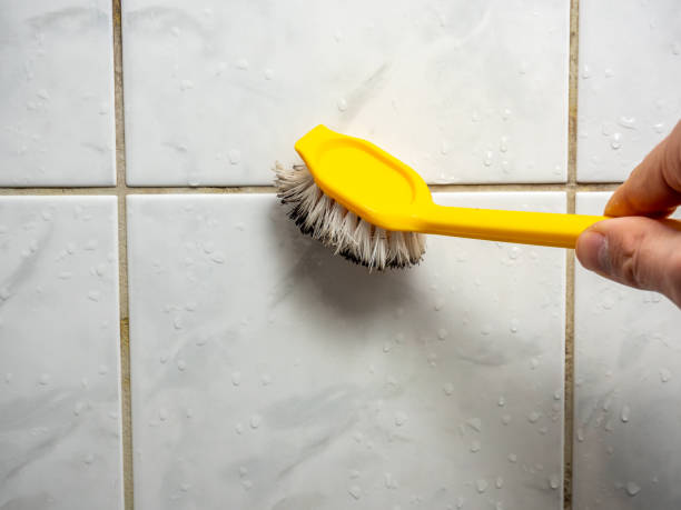 Best Affordable Mold Removal  in Berwyn, PA